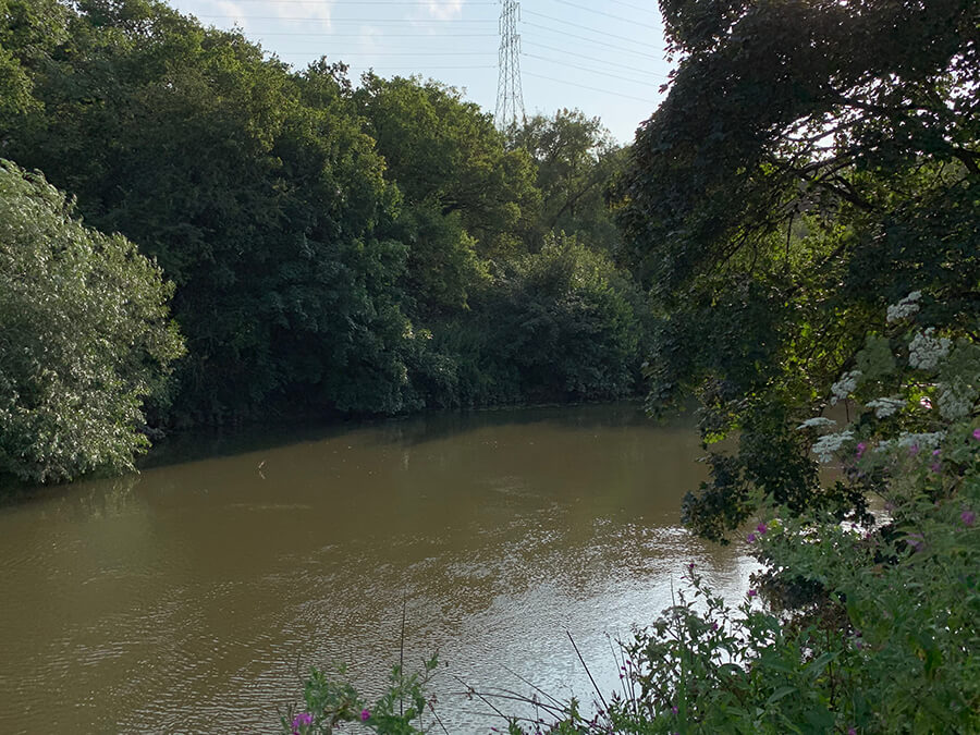 image 5 of undefined