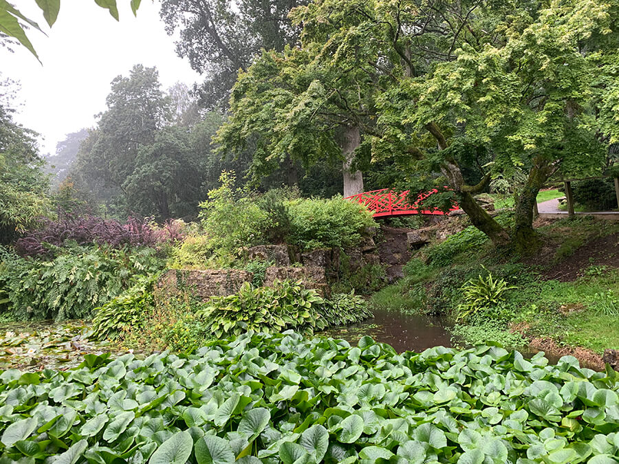 are dogs allowed in batsford arboretum