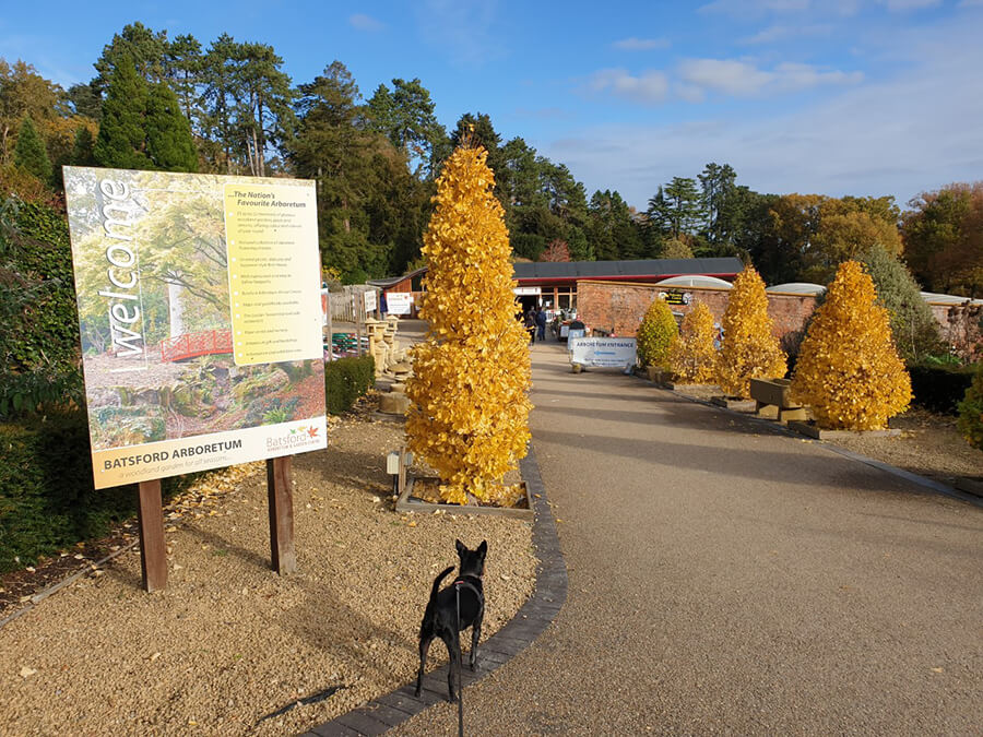 are dogs allowed in batsford arboretum