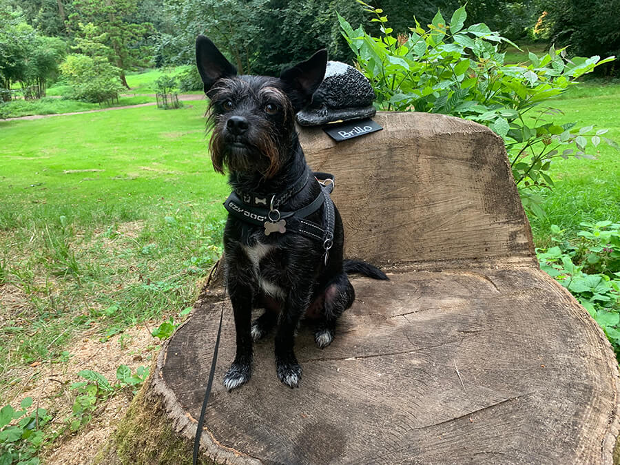 are dogs allowed in batsford arboretum