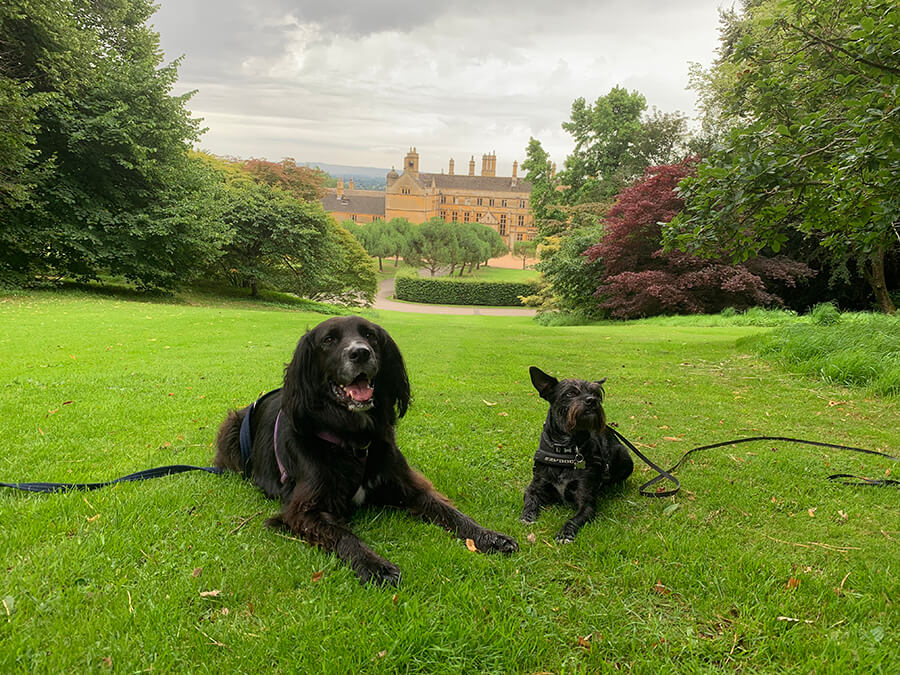 are dogs allowed in batsford arboretum