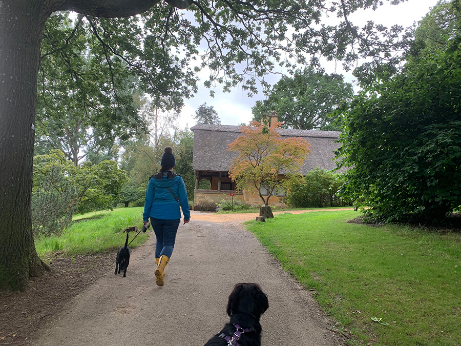 are dogs allowed in batsford arboretum