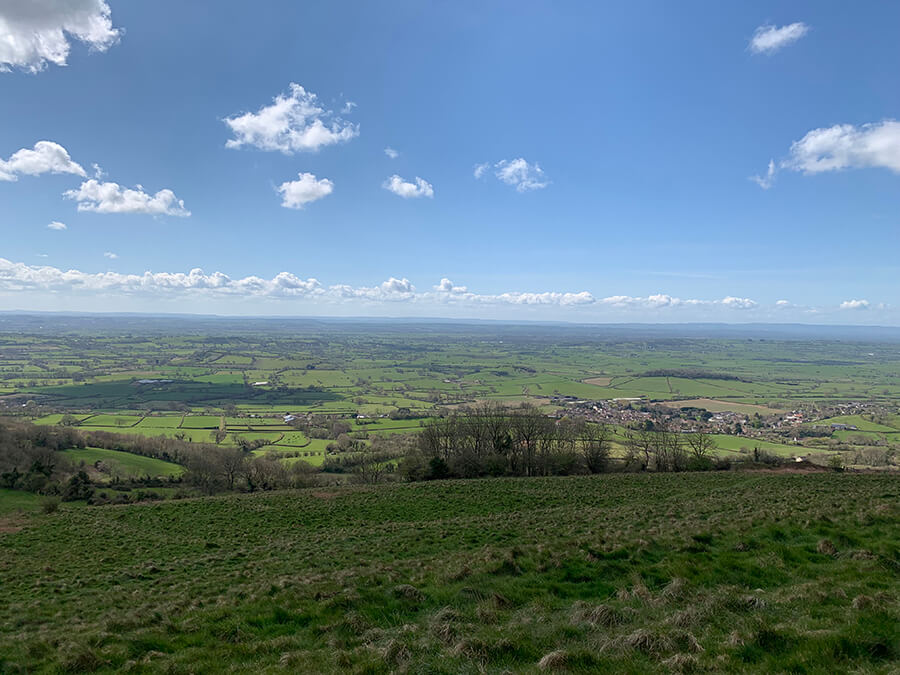 image 8 of undefined